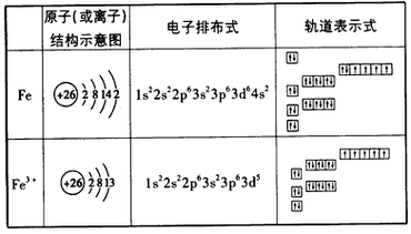 铁离子容易和什么原子配位（铁离子与什么离子不共存）