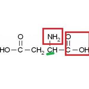 为什么天冬氨酸比赖氨酸多（天冬氨酸为什么带负电荷）
