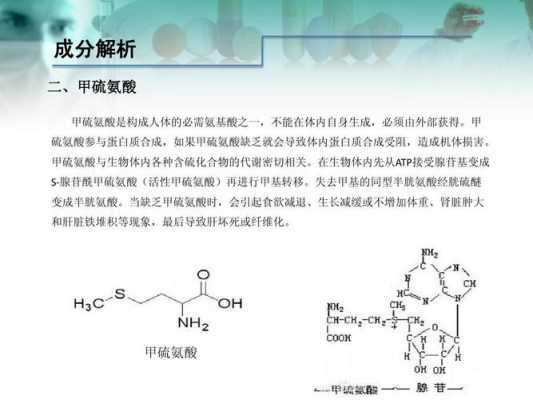 硫什么酸胺（硫氨酸是什么物质有什么作用）