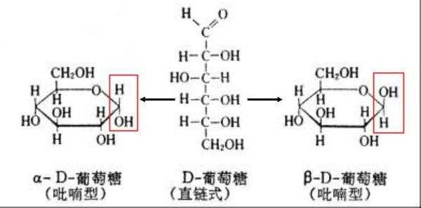 2_脱氧d_葡萄糖的合成场所是什么（写出βd脱氧核糖）