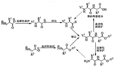 脱fmoc用的是什么试剂（脱酚是什么意思）