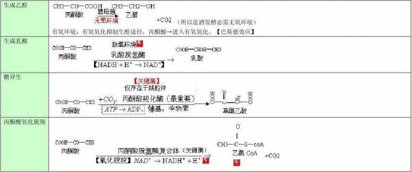 什么是溴基丙酮（溴丙酮怎么合成）