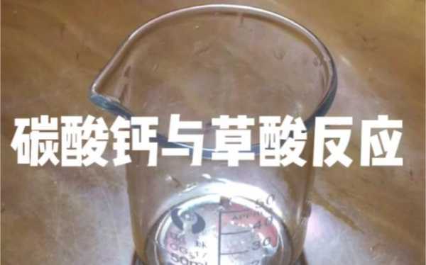 草酸和钙发生什么反应（草酸与钙）