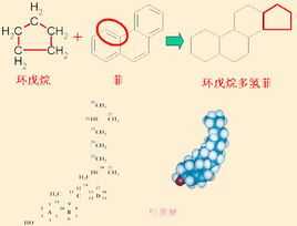 固醇样化学品是什么（固醇概念）