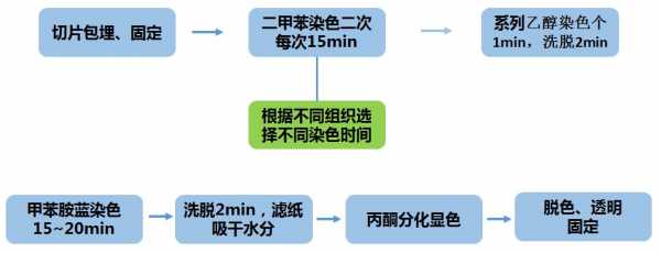 什么是甲苯胺蓝（甲苯胺蓝配制方法）