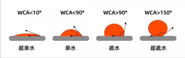 亲水性和疏水性什么意思（试着辨别亲水性和疏水性的区别?）