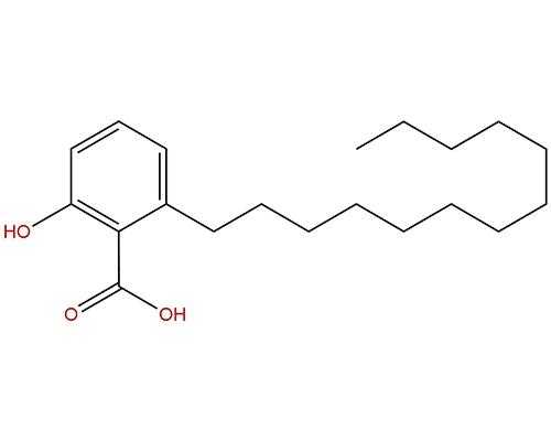 c13是什么酸（什么叫c13）