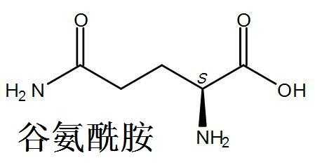 谷氨酰胺还叫什么名（谷氨酰胺的组成）