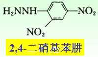 二硝基苯是什么（二硝基苯属于）