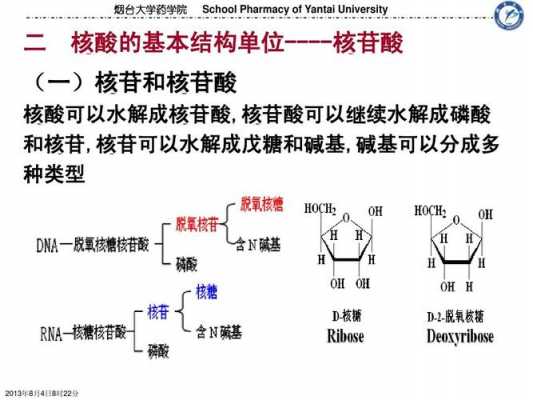 磷脂完全水解的产物是什么（磷脂彻底水解）