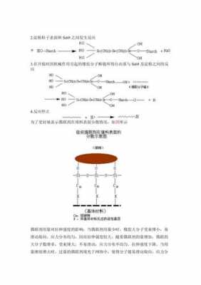 硅烷与什么反应可以稳定（硅烷与什么反应可以稳定状态）