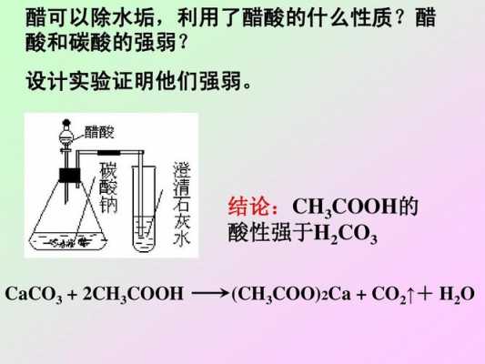 醋酸和乙酸有什么区别（醋酸和乙酸反应方程式）