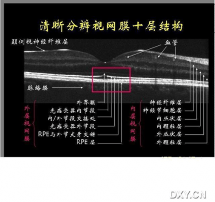 oct化学上是什么（oct化学名称）