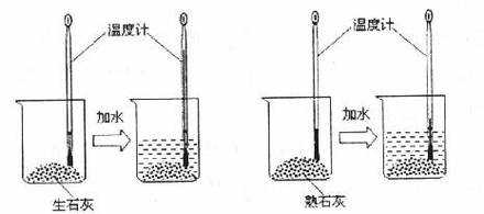 水遇到生石灰的现象是什么（水遇到生石灰的现象是什么反应）