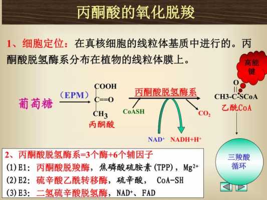 丙酮被氧化成什么羧酸（丙酮的氧化）