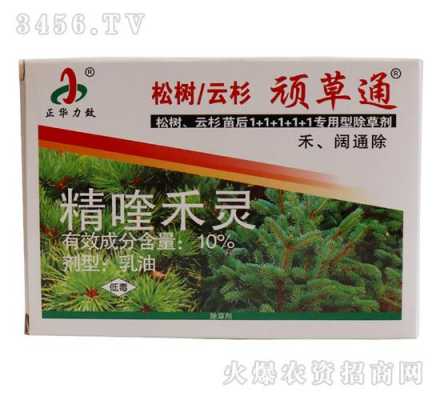 杉树苗用什么除草剂来除草（杉树苗专用除草剂）