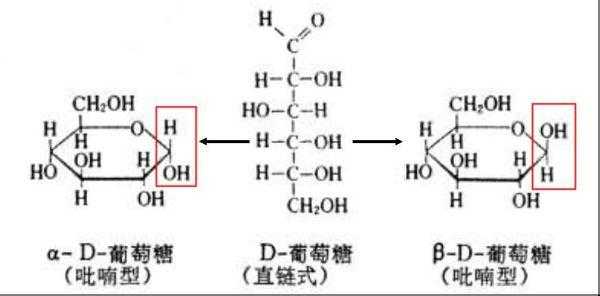 为什么是D葡萄糖（为什么d葡萄糖和l葡萄糖不是差向异构体）