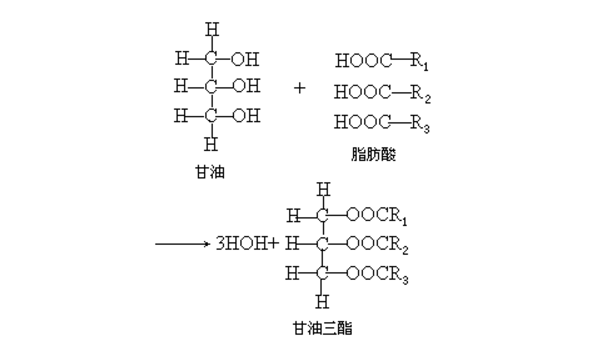 甘油三酯化学式里的R是什么（甘油三酯化学式结构式）