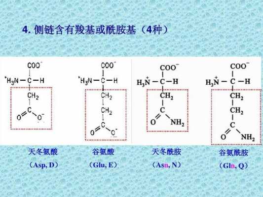 N连三个键是什么基团（n有几条键）