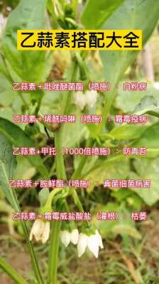 乙蒜素和什么不能配（乙蒜素可用什么作物）