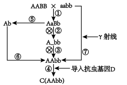 2na生物是什么（生物中2n=20是什么意思）