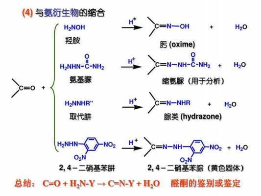 氨基脲可与什么反应6（氨基脲可与什么反应61）