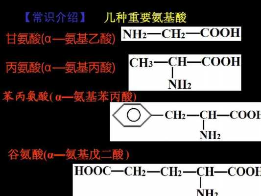 什么里有谷氨酸（什么里有谷氨酸酶）