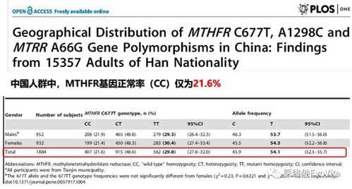 叶酸fol是什么指标（叶酸folic acid）