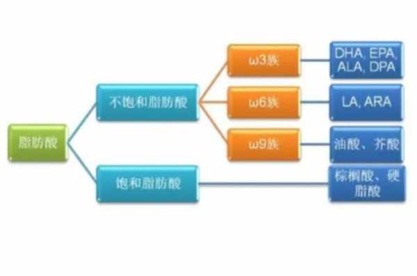 脂肪酸的用途是什么（脂肪酸是干嘛用的）