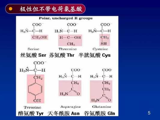 paa在生物化学里是什么意思（生物化学中pka）