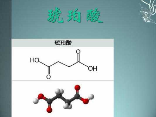 琥珀酸是什么氨基酸（琥珀酸是什么物质）