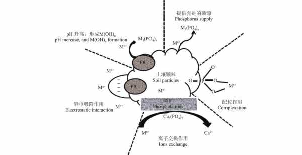 金属钝化的基本原理是什么（金属钝化的解释有几种理论）