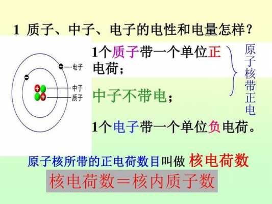 蛋白质分别带什么电荷（蛋白质一般带什么电荷）