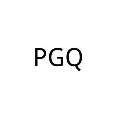 网络上pg什么意思（网络pgq是什么意思）