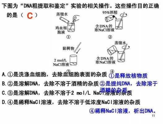 DNA的浓缩为什么加异丙醇（dna溶液浓缩的方法）