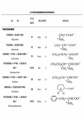 缩些结构式是什么意思（缩的结构和笔画）