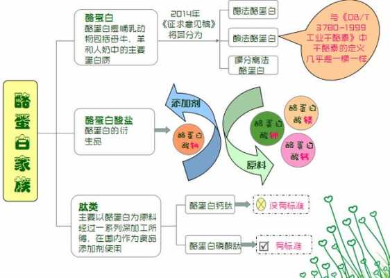 酪蛋白酶有什么（酪蛋白酶解物的作用与副作用）