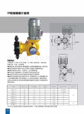 计量泵spm是什么意思（计量泵gm）