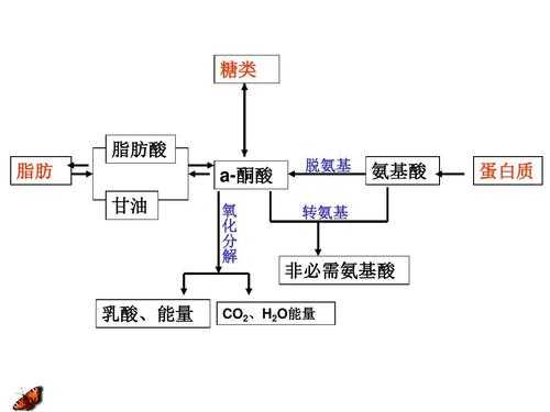 氨基氰为什么易溶于水（氨基氰的作用）