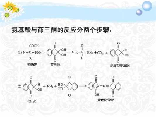 茚三酮与氨基酸显什么颜色（茚三酮与不同氨基酸反应有不同颜色的原因）