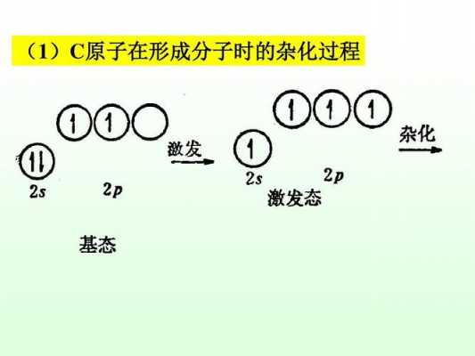 碳是什么杂化方式（怎么看碳的杂化类型）