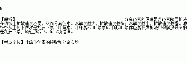 叶绿素溶于什么物质（叶绿素的溶解性）