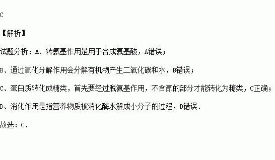 氨基化有什么用（氨基化答案）