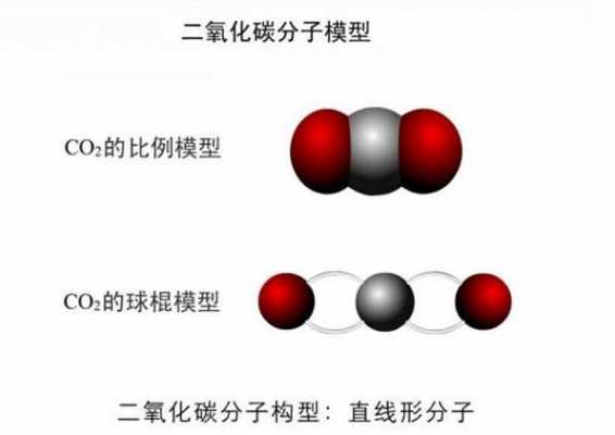 co2的分子是什么意思（负CO2指的是什么意思）