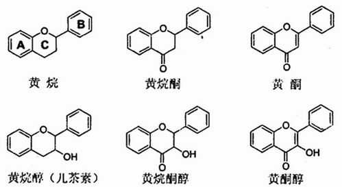 黄酮是什么分子（黄酮类的成分）