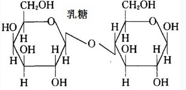 乳糖的结构特点是什么（乳糖有几种构型）