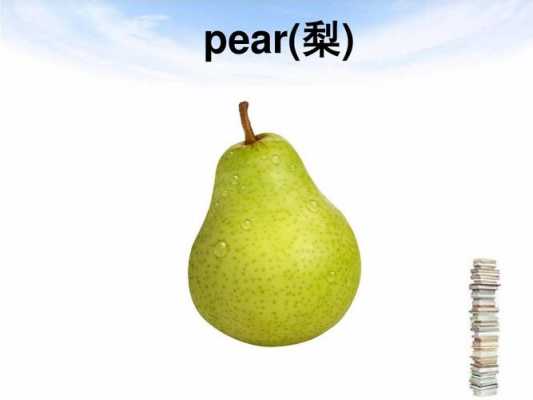 pear是什么意思英语（pear英语什么意思是什么意思啊）