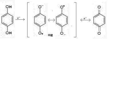 笨酚被氧化生成什么（苯酚被氧化的现象）