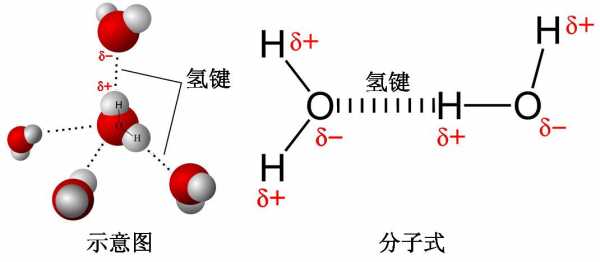 氢键在化学式什么样（氢键是化学键?）