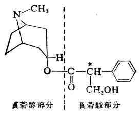 莨菪碱的结构是什么（莨菪碱的化学结构）